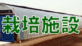 ファーム笹山の野菜栽培施設